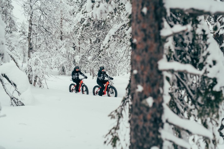 Two people ride fat bikes through a snowy forest.