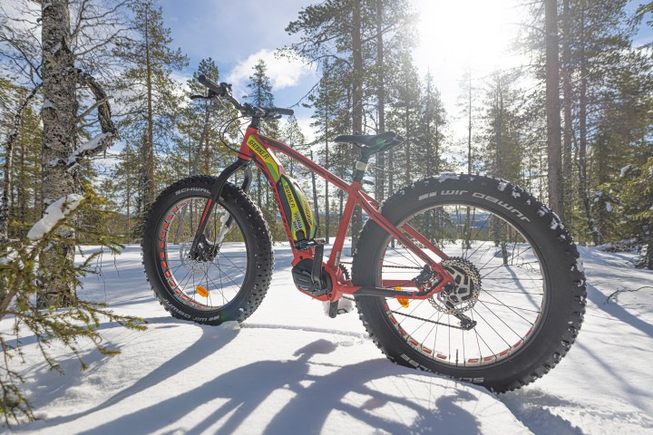 Red fat-tire bike on snowy forest trail with sunlight through trees.