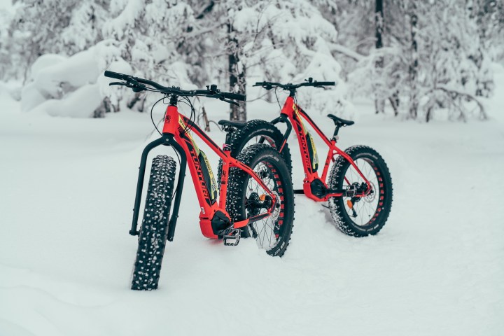 Two red fat-tire bikes in a snowy forest landscape.