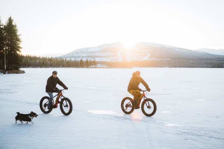 Two people cycling on snow with a dog under a clear sky.