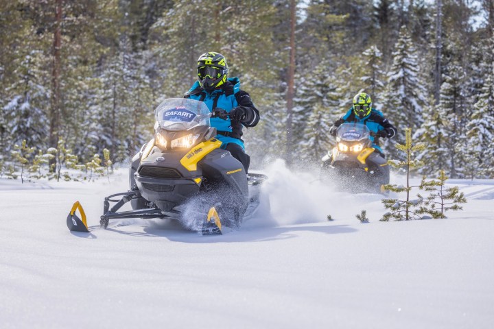 Two people on snowmobiles riding through snowy forest.