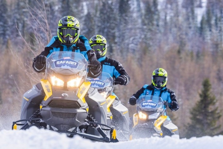 Three snowmobilers in helmets riding through snowy forest.