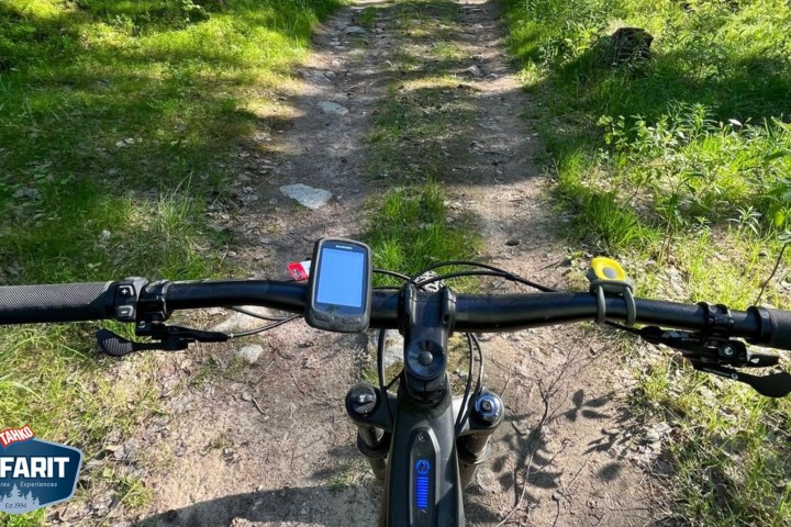 View from a bike handlebar on a forest trail on a sunny day.