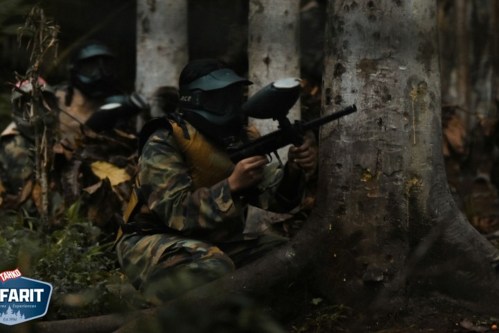 Paintball players in camouflage gear strategize behind trees in a forest.