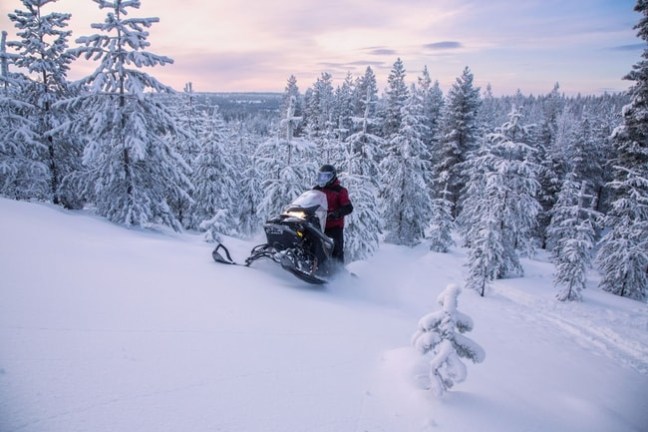 Person riding snowmobile in snowy forest under pink sunset sky.