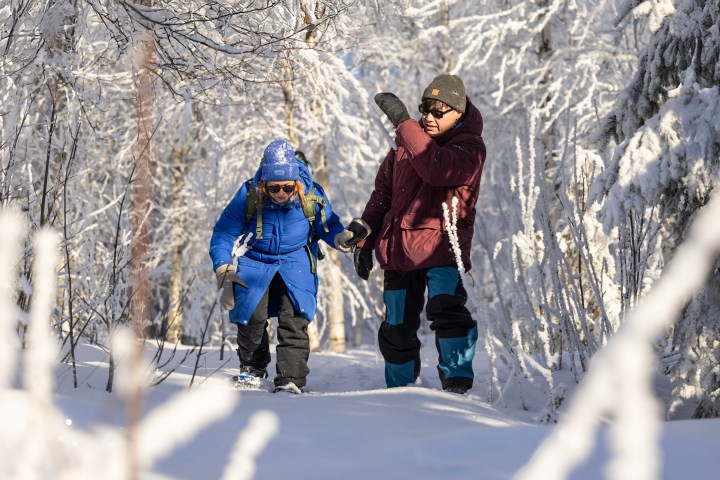 Two people hiking in snow-covered forest, wearing winter gear.