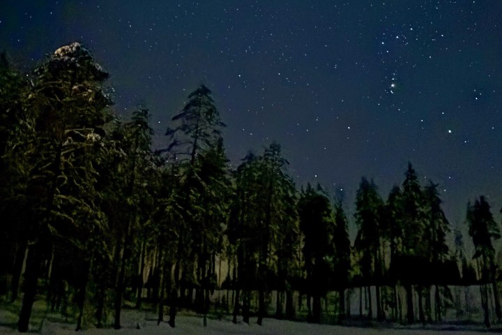 Night sky with stars over a snow-covered forest