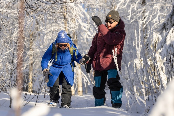 Two people in winter gear hiking through snowy forest.